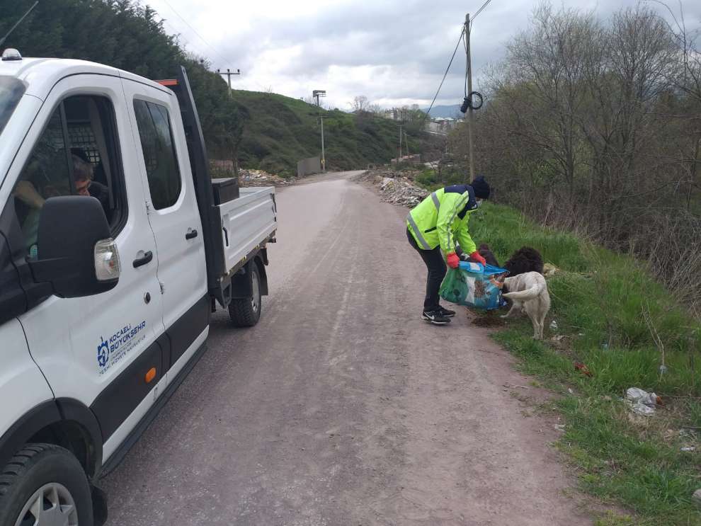 20 ton mama sokak hayvanlarına verildi