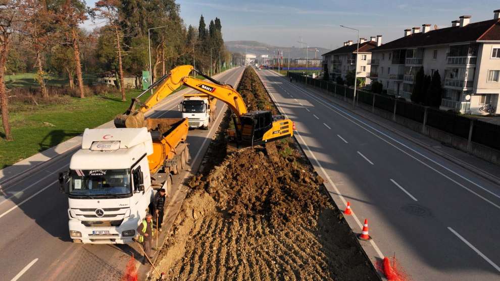 Ağaçlar yeni yerlerinde hayat bulacak