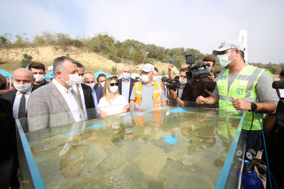 Balıklandırma Projesi’nin üçüncü aşaması Darıca sahilinde gerçekleştirildi