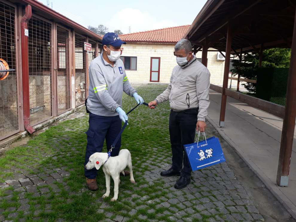 Başkan Büyükakın, ‘’Binlerce sokak hayvanına sıcak yuva bulduk