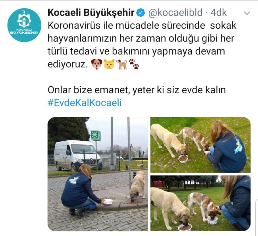 Başkan Büyükakın, sokak hayvanlarını unutmuyor