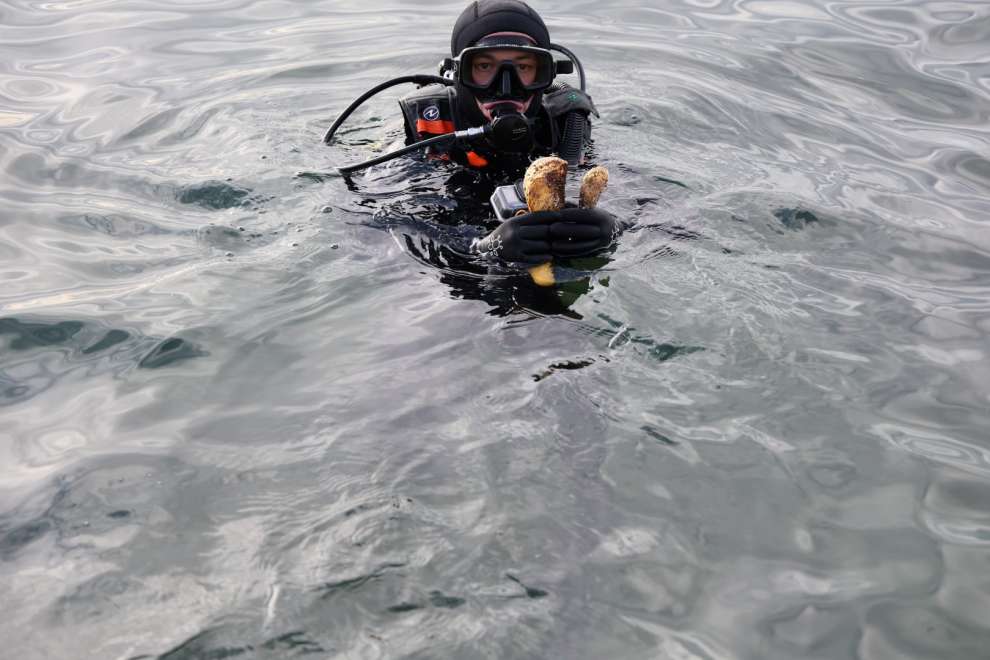 Gebze Eskihisar’da nefes alıyor