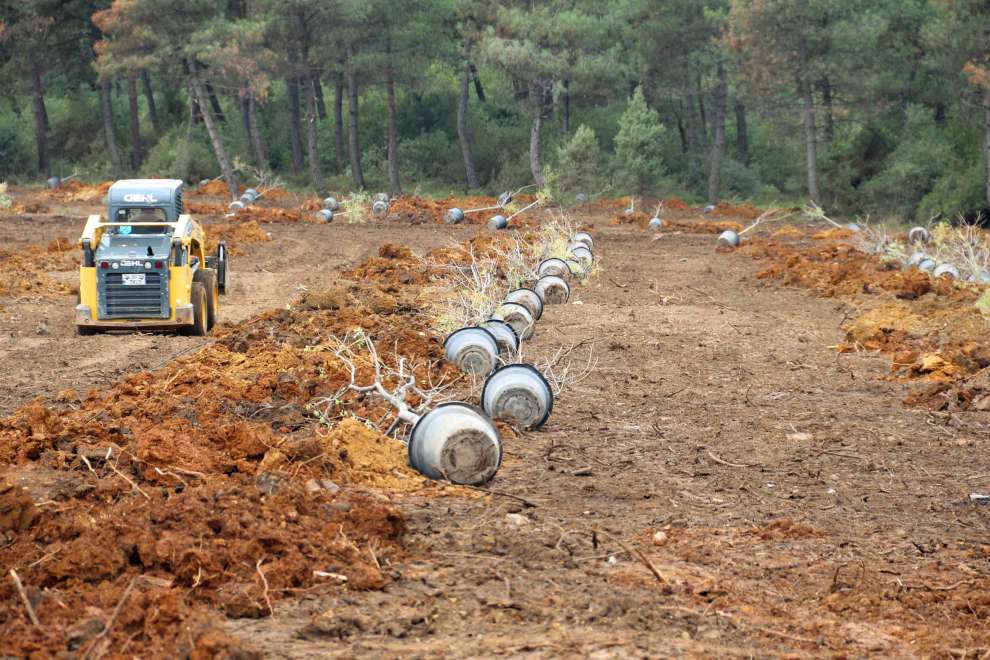 Gebze Gaziler Dağı, Büyükşehir fidanları ile yeşerecek