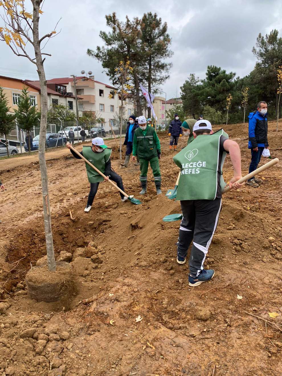 Gebze Gaziler Dağı, Büyükşehir fidanları ile yeşerecek