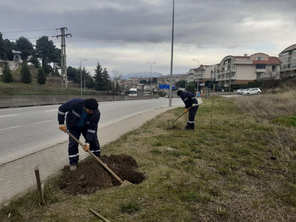 Gölcük Yüzbaşılar Kavşağında yeşillendirme