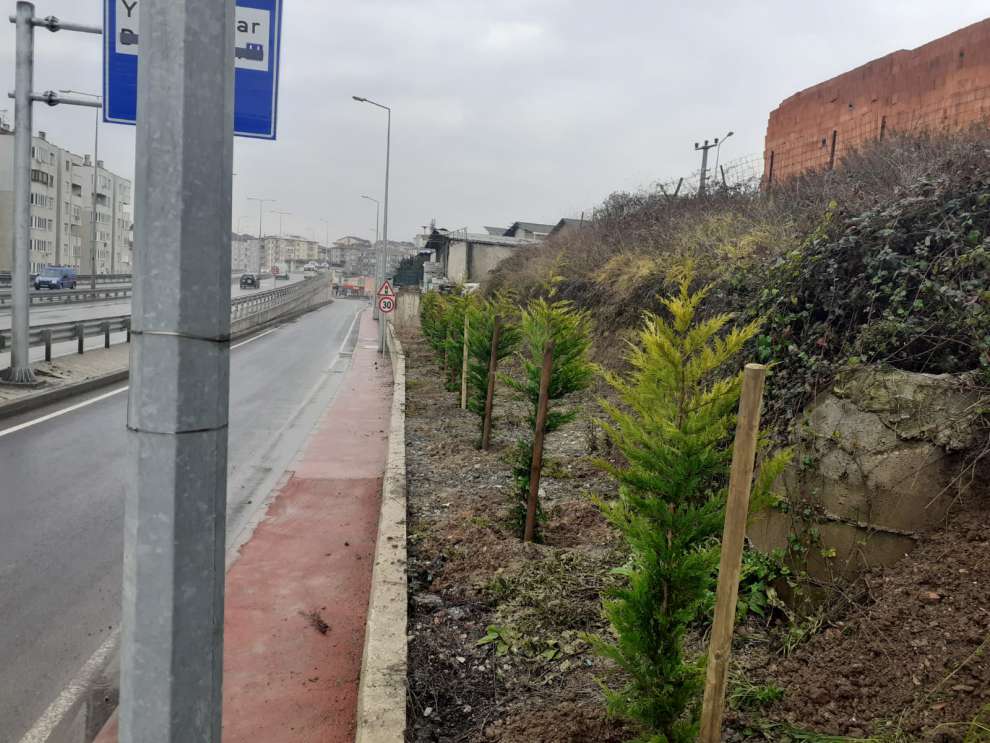 Gölcük Yüzbaşılar Kavşağında yeşillendirme