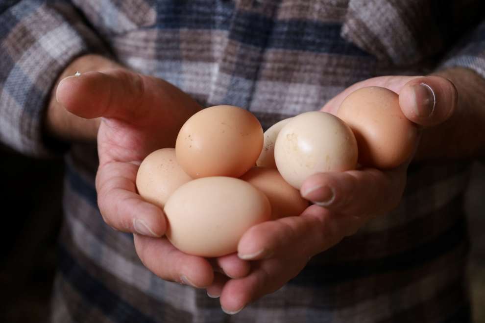 Kırsalda geçim kapısı güçleniyor, istihdam artıyor