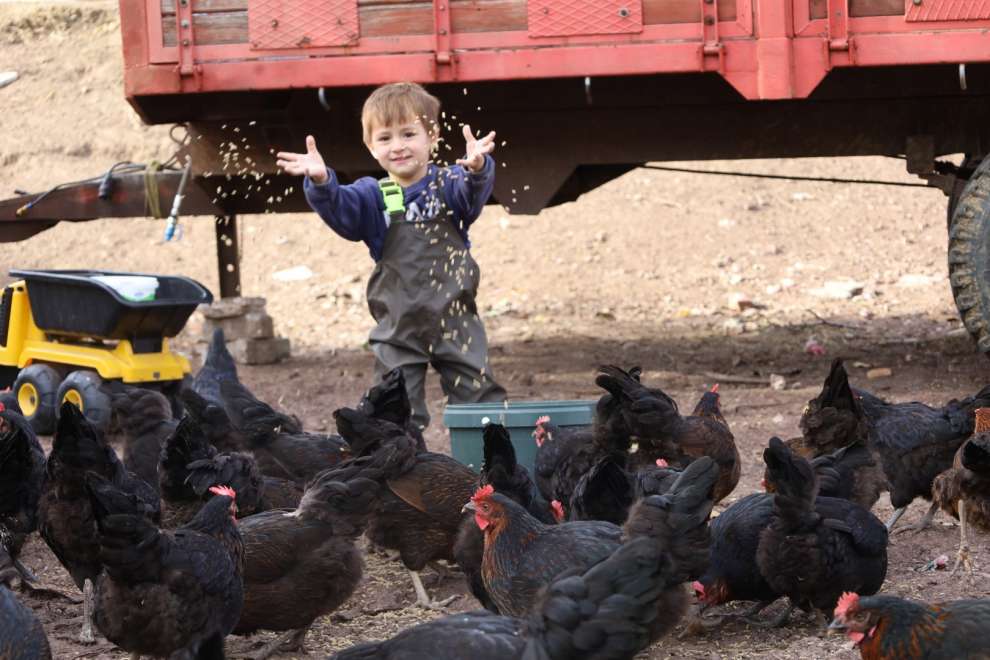 Kırsalda geçim kapısı güçleniyor, istihdam artıyor