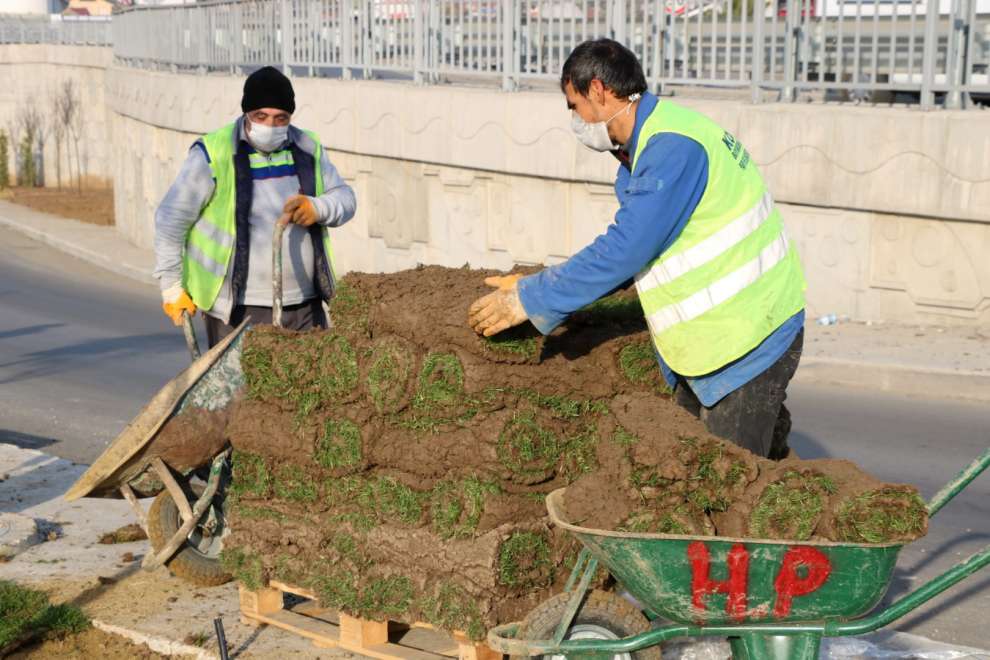 Otogar Köprülü Kavşağı’na yüzlerce ağaç dikilecek