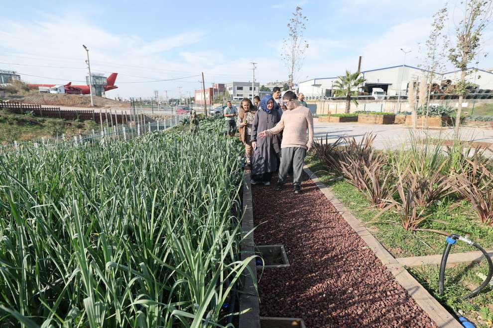 Özel bireyler, elleriyle hasat yapıp çiçek ekti