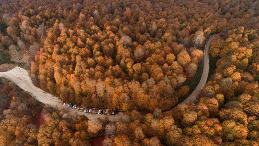 SONBAHARIN TÜM RENKLERİ VE GÜZELLİKLERİ ERİKLİTEPE'DE