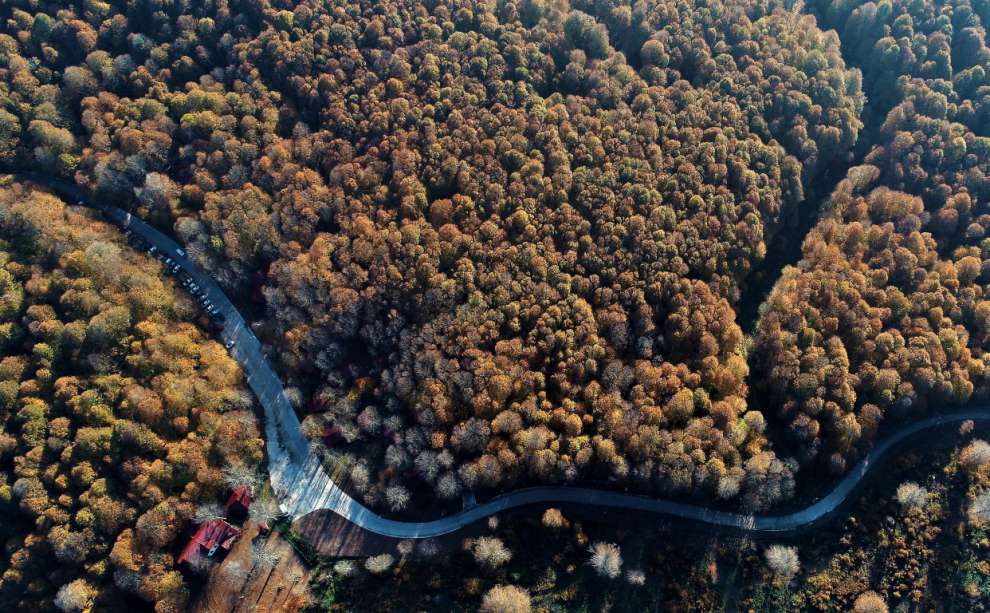 SONBAHARIN TÜM RENKLERİ VE GÜZELLİKLERİ ERİKLİTEPE'DE