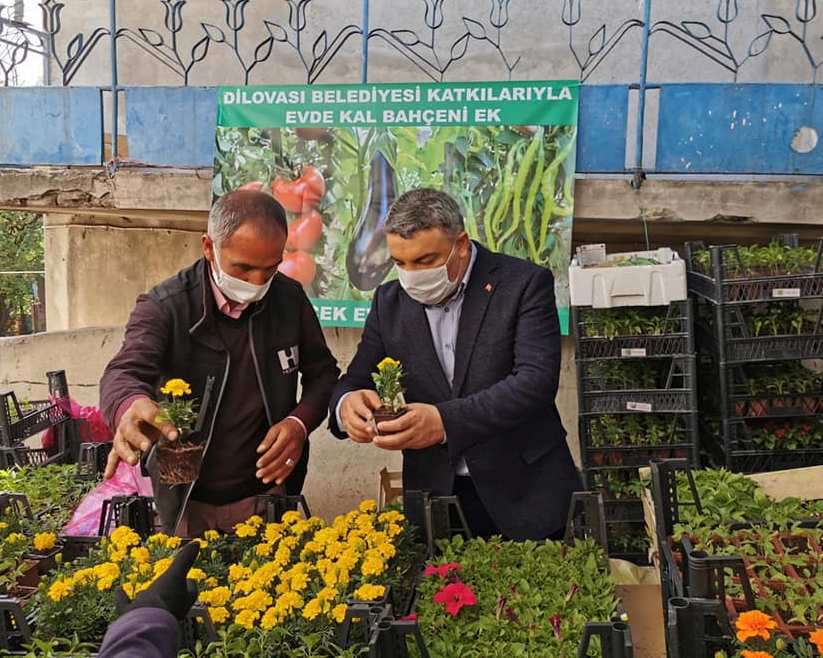 Şayir, vatandaşlara çiçek tohumu dağıttı