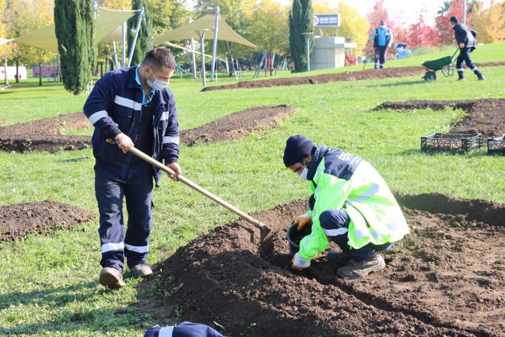 Sekapark’a 115 Bin lale ekildi