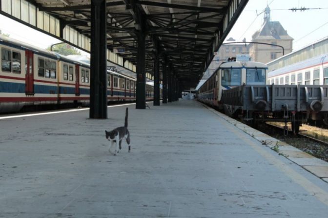 Tarihi Haydarpaşa Garı tren mezarlığına döndü