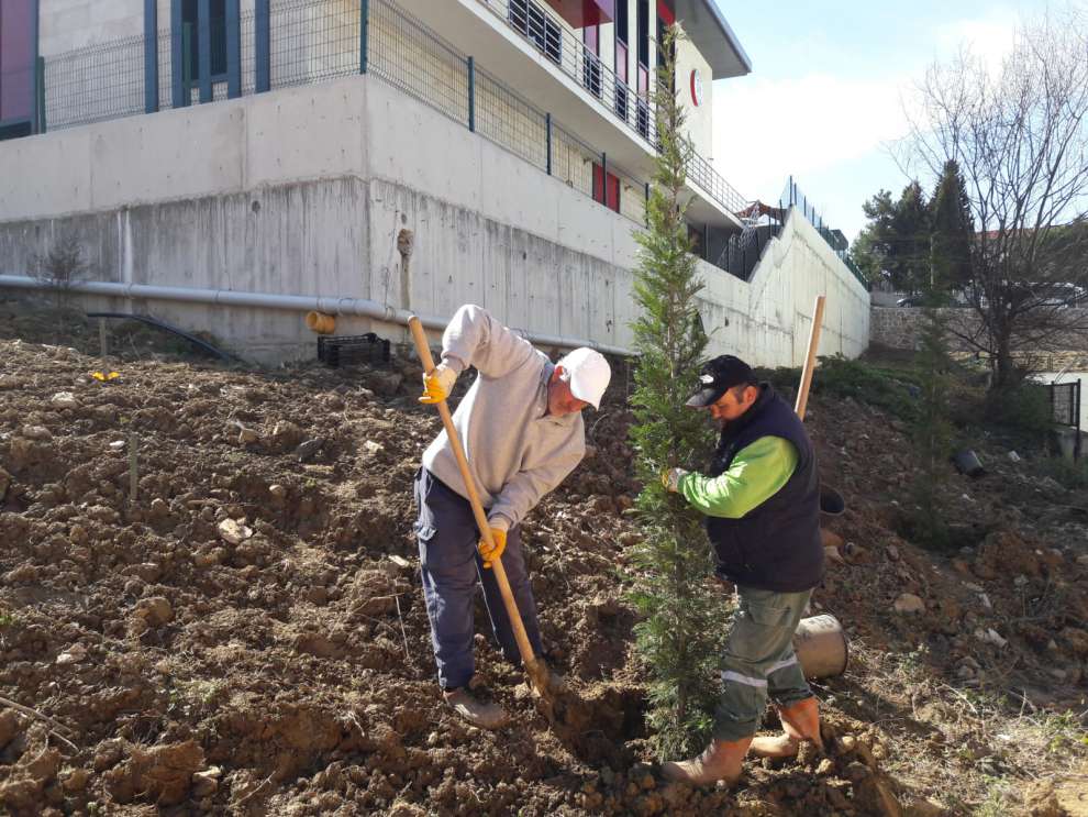 İtfaiye Binası çevresi ağaçlandırıldı