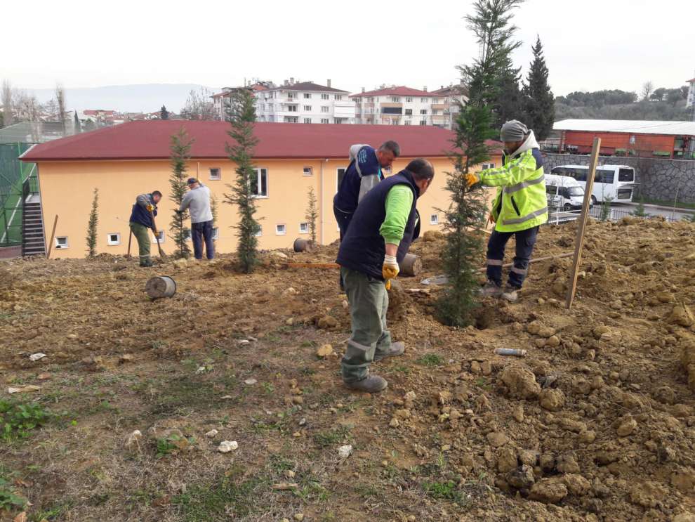 İtfaiye Binası çevresi ağaçlandırıldı