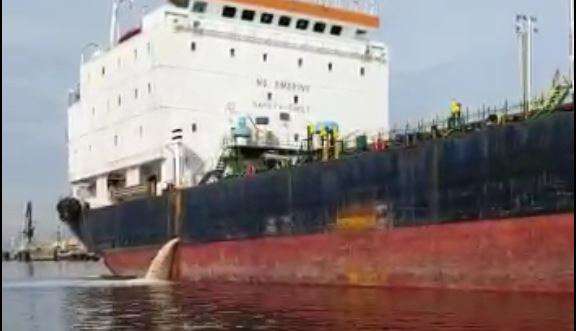İzmit Körfezi’ni kirleten gemiye 635 bin TL ceza
