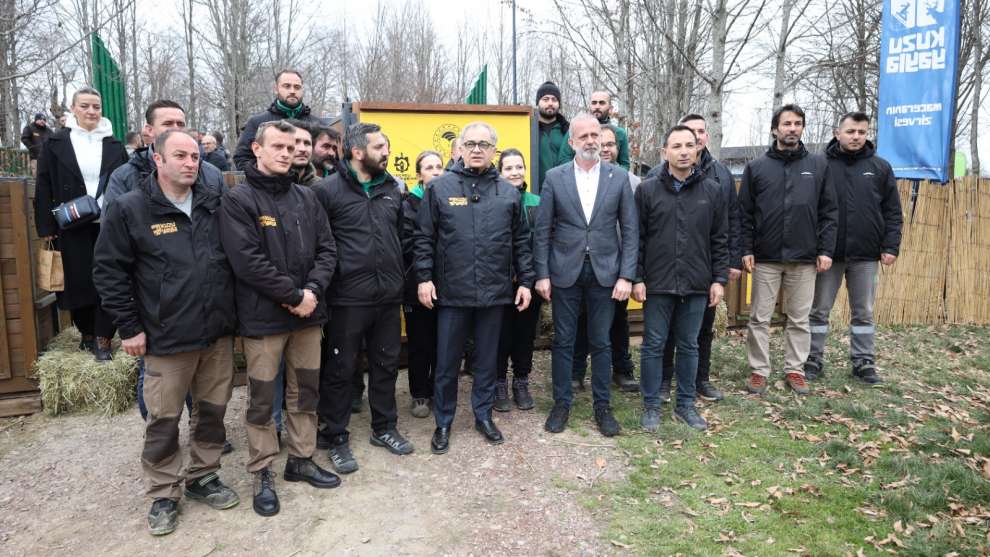 8 kızıl geyik daha Kuzuyayla’da doğaya salındı