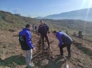 SEDAŞ, Geleceğe Nefes Olmak İçin 500 Fidan Dikti