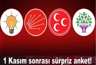 1 Kasım sonrası sürpriz anket!