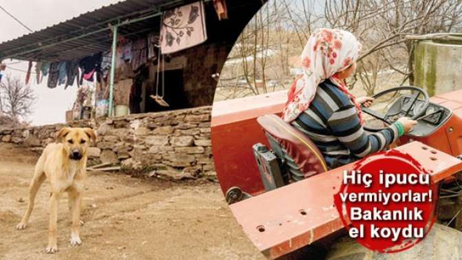 12-13 yaşındaki kız çocuklarını işte buralardan kaçırıyorlar: Namertlik hattı