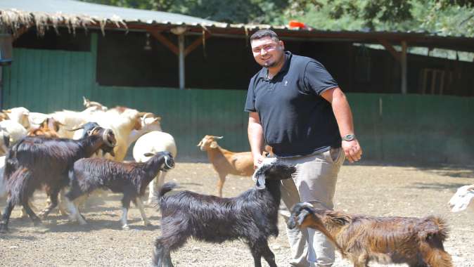 2 OĞLAKLA BAŞLADI, 500 HAYVANA ULAŞTI