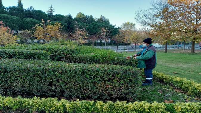 3 ilçede ağaçlara kış bakımı