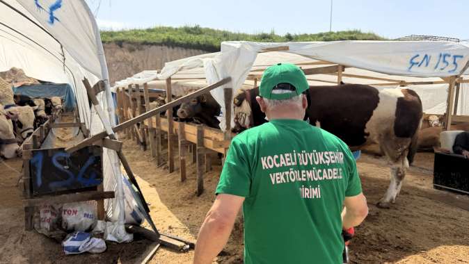 4 ilçede kurban pazarları ilaçlanıyor