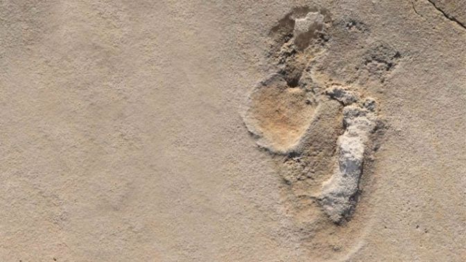 6 Milyon Yıl Öncesine Ait İnsanımsıların Ayak İzleri Akdenizde Bulundu