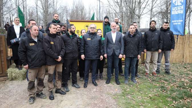 8 kızıl geyik daha Kuzuyayla’da doğaya salındı