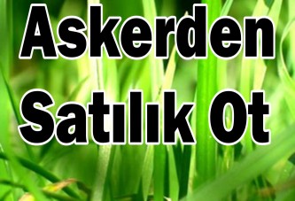 Askerden satılık ot