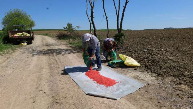 Büyükşehir’in desteğiyle ekim mesaisi başladı