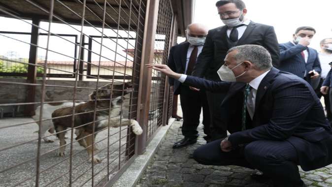 Büyükşehir ve 11 ilçe belediyesi sokak hayvanları için protokol imzaladı