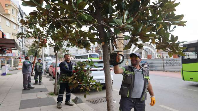 Çayırova’da mevsimlik budama çalışmaları başladı