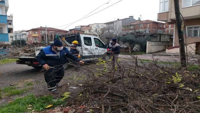 Darıca’da mevsimsel ağaç budama çalışmaları devam ediyor