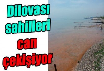 Dilovası sahilleri can çekişiyor