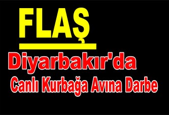 Diyarbakır'da canlı kurbağa avına darbe