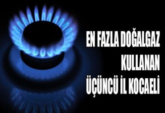 En fazla doğalgaz kullanan üçüncü il Kocaeli