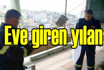 Eve giren yılan