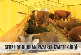 Gebze’de Kurban pazarı hizmete girdi