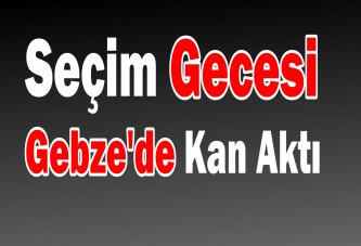 Gebze'de kanlı gece