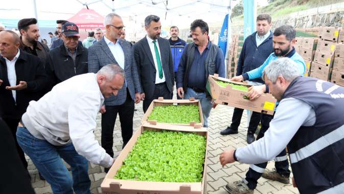 Gebzeli çiftçiye 500 bin sebze fidesi