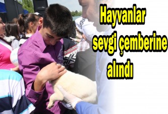 Hayvanlar sevgi çemberine alındı