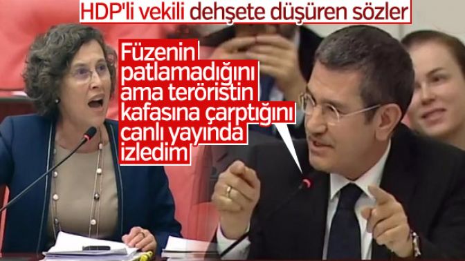 HDPli Kerestecioğlunun SİHA tepkisi: Dehşete kapıldım