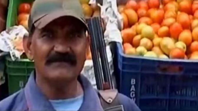 Hindistanda fiyatı iki katına çıkan domatese silahlı koruma