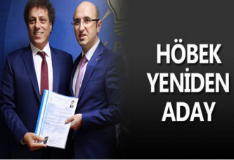 HÖBEK YENİDEN ADAY