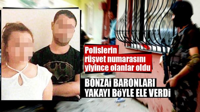 İşte gençleri zombiye çeviren bonzai baronları