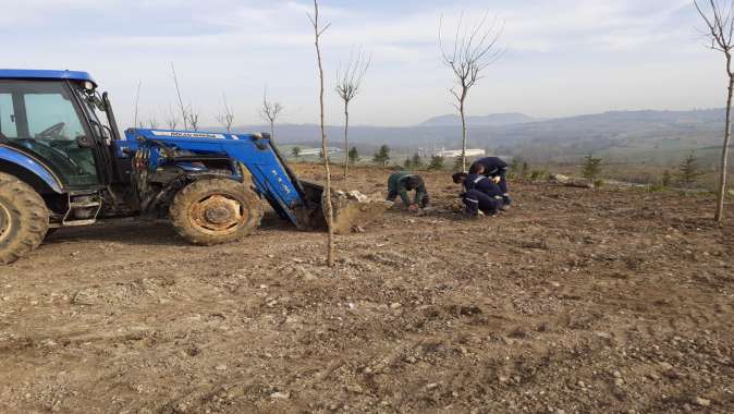 Kandıra Kent Ormanı ağaçlandırılıyor