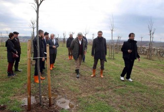 Kandıra’nın eski çöplüğü ‘’Kent Ormanı’’ oluyor